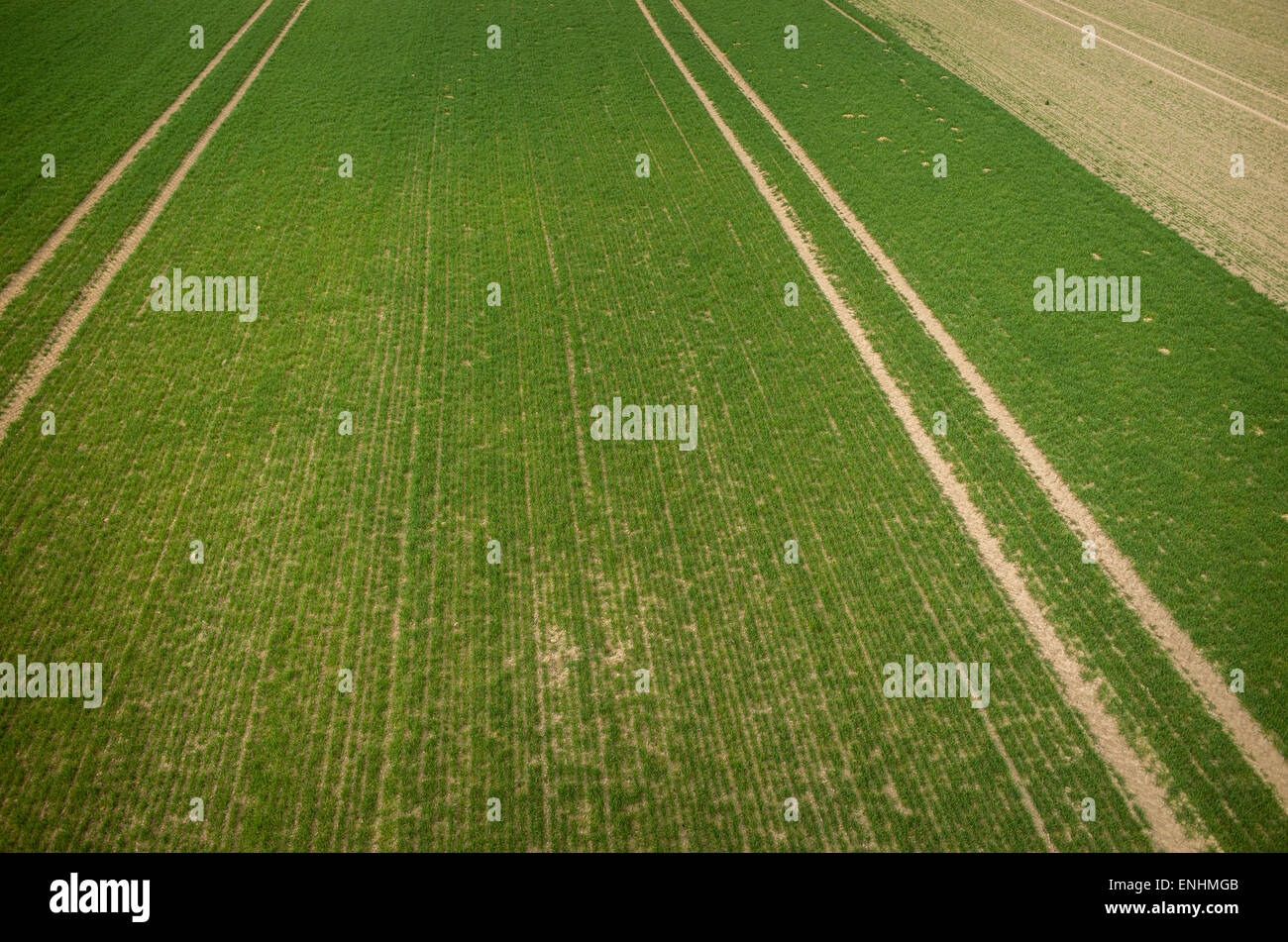 Aerial view of the large green field Stock Photo - Alamy