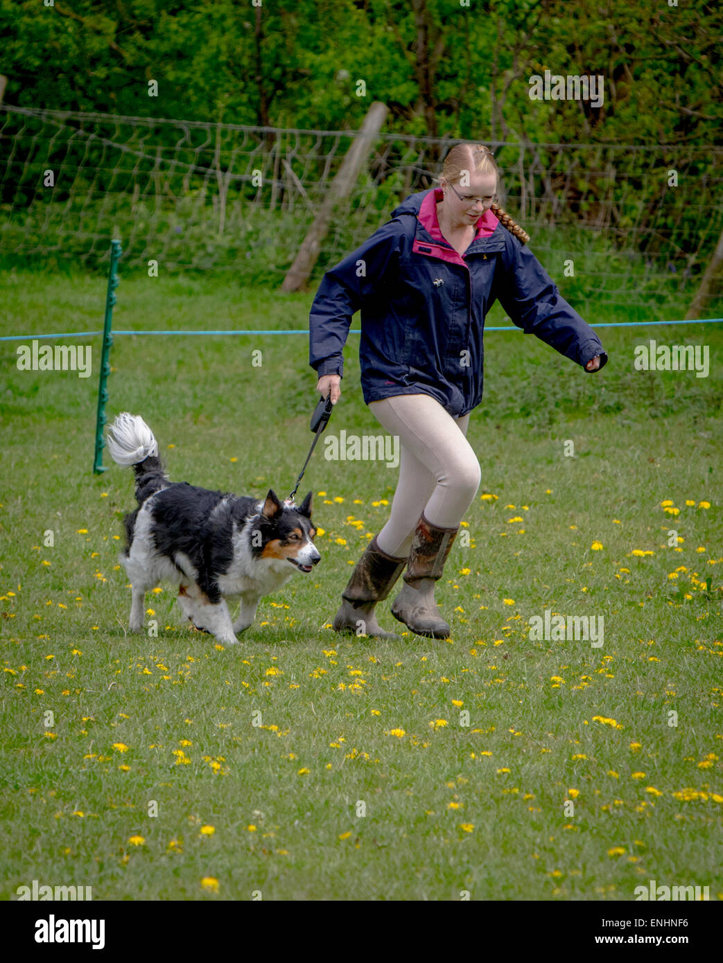 Dogs and their owners take part in an Alvechurch Riding Club Show in the hope that their canine skills can help them win prizes Stock Photo