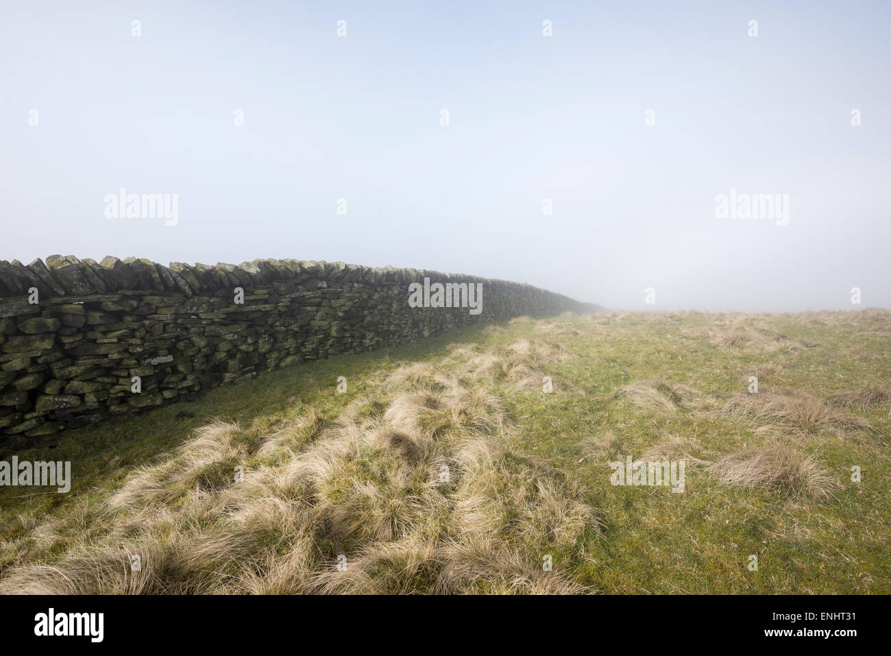 A drystone wall beside a field of rough grass on hills above Chinley, Derbyshire on a foggy spring morning. Stock Photo