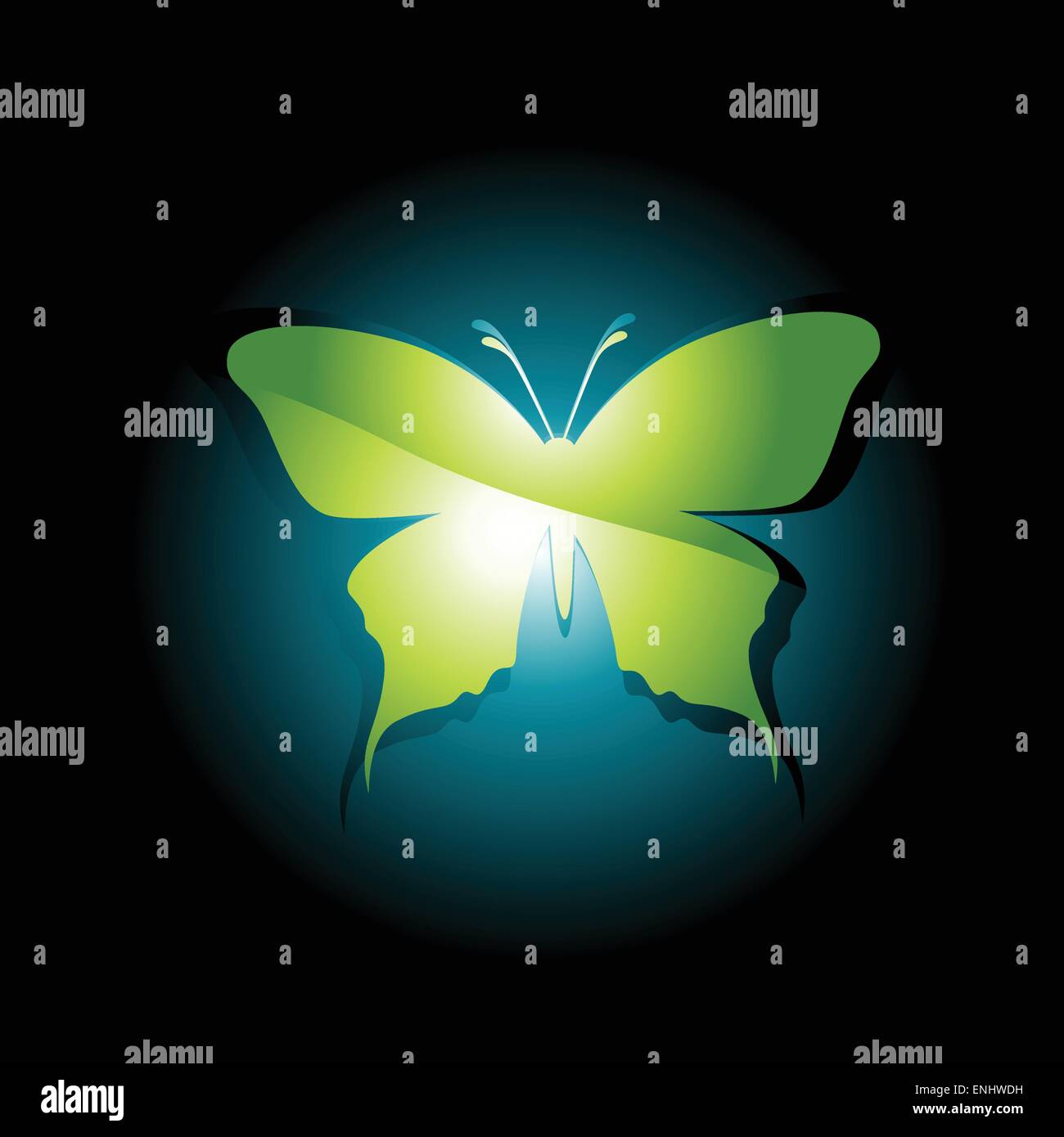 vector beautiful illustration of butterfly Stock Vector Image & Art - Alamy