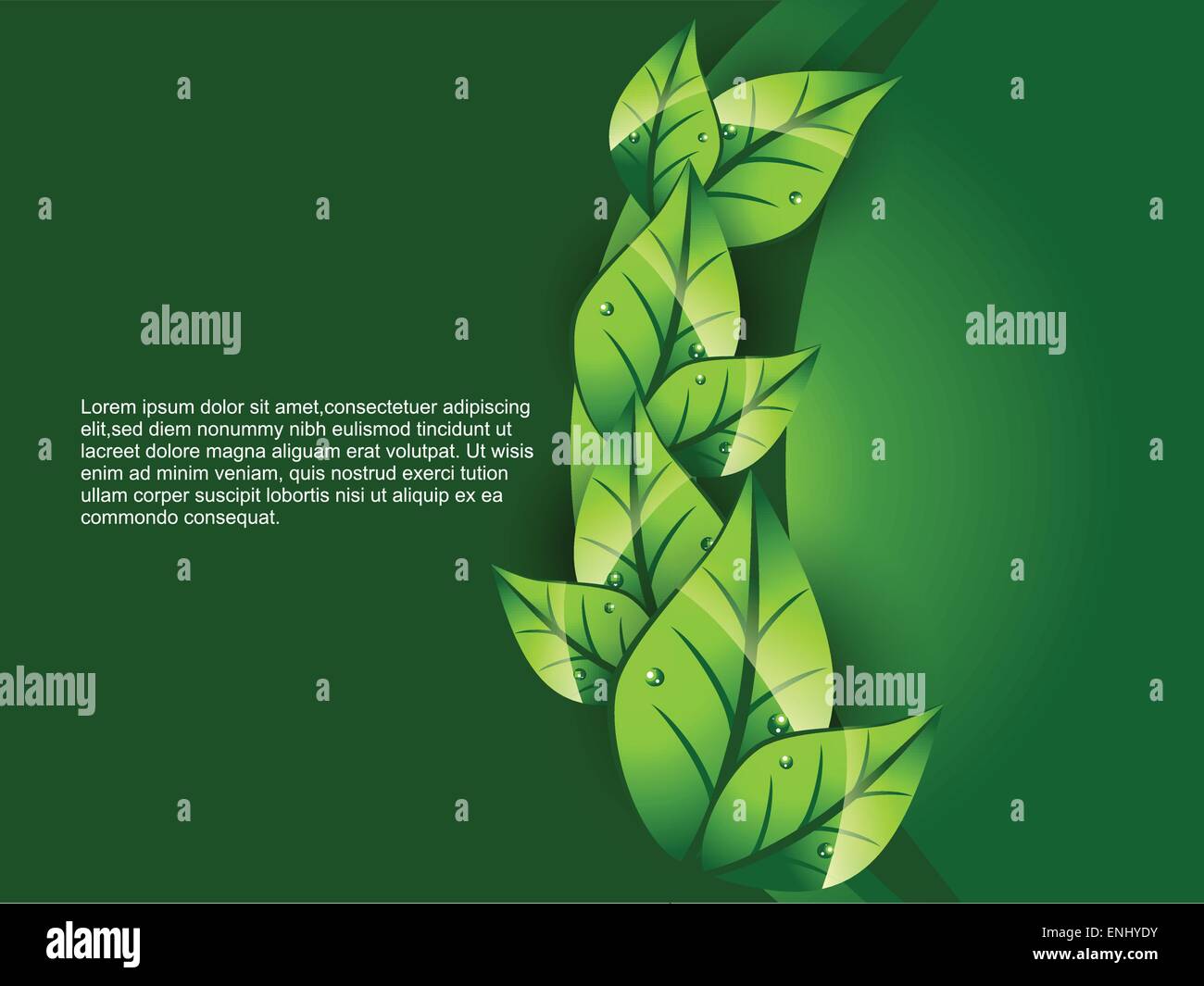 vector green leaf background illustration Stock Vector Image & Art - Alamy