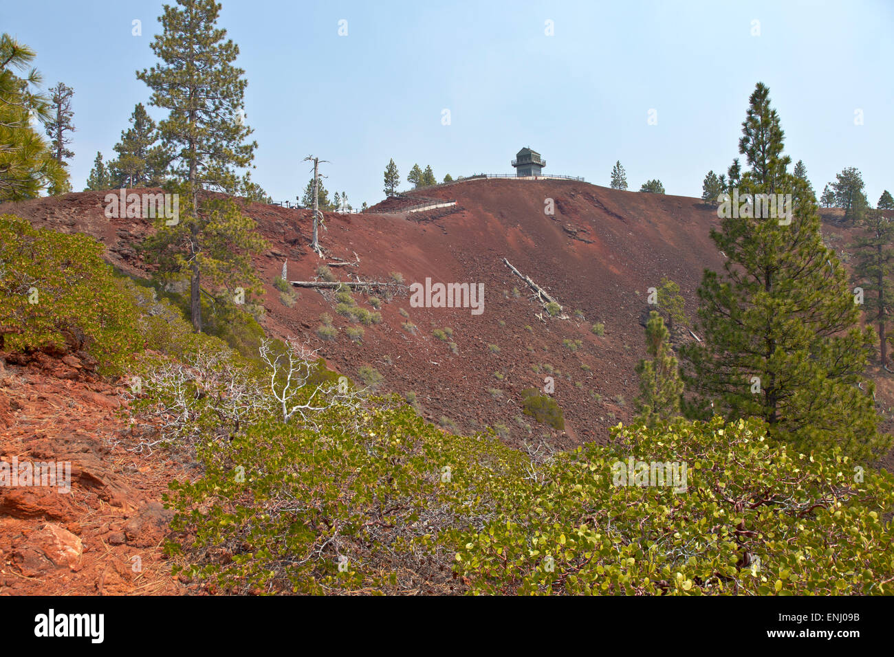 Lava Butte forest trees and crater near Bend Oregon. Stock Photo