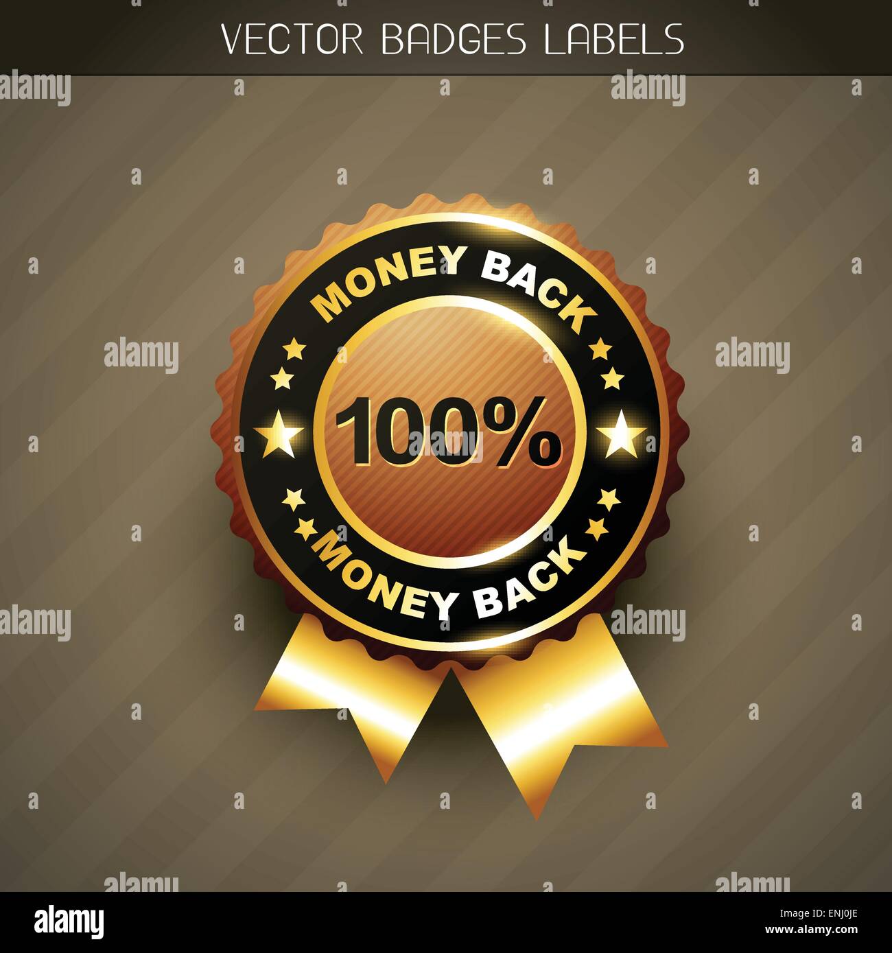 stylish money back guarantee vector label Stock Vector