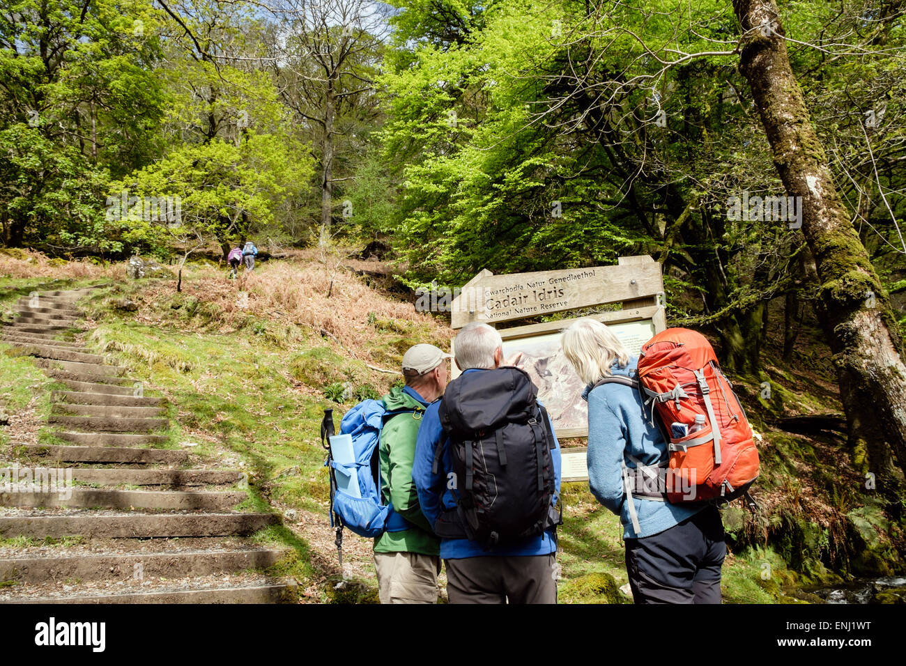 Hikers looking at information with map at start of Minffordd Path through woodland to Cadair Idris (Cader Idris) in National Nature Reserve Wales UK Stock Photo