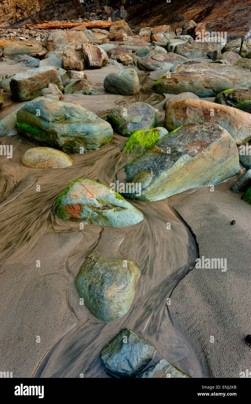 Moss covered rocks on beach hi-res stock photography and images - Alamy