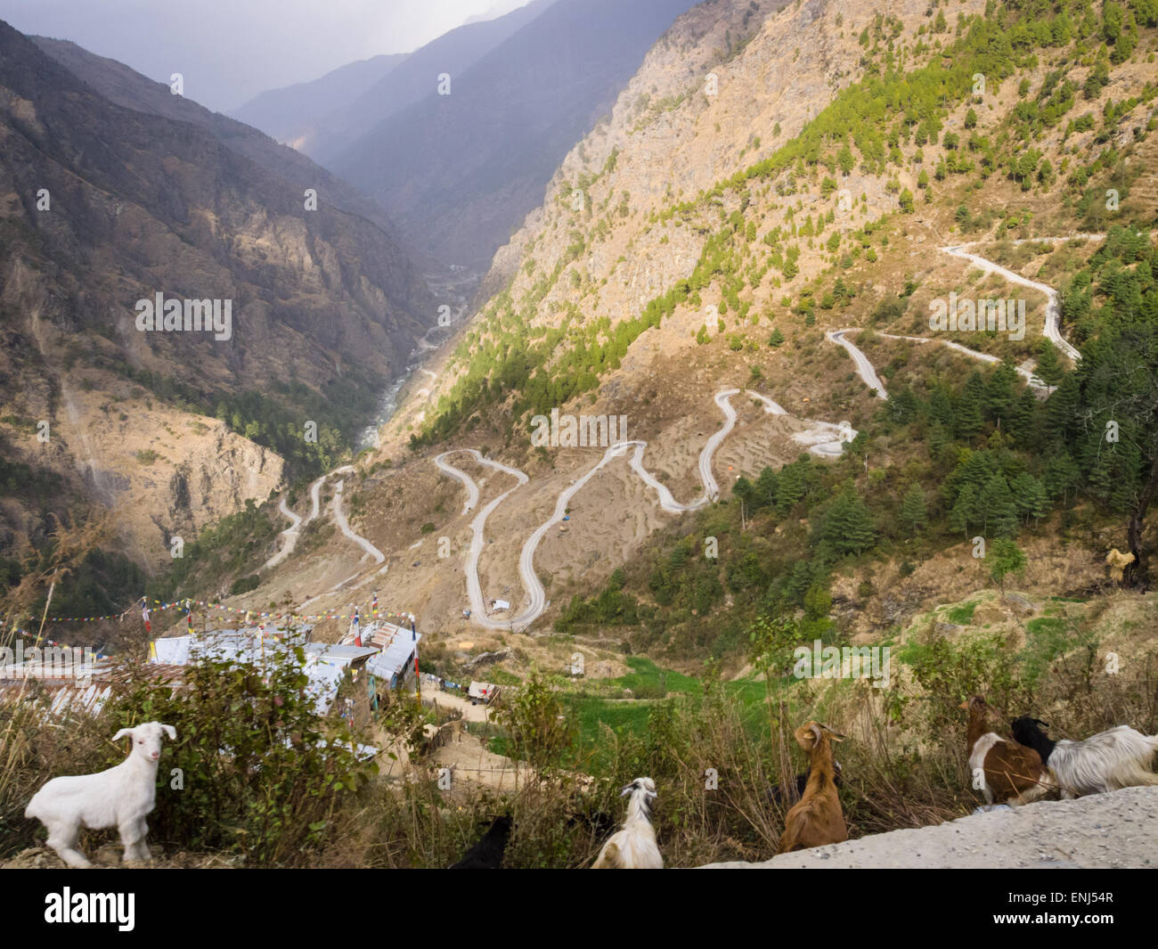 Numerous hairpin bends in the scary road from Dunchhe to Syabru Besi, Nepal. Stock Photo