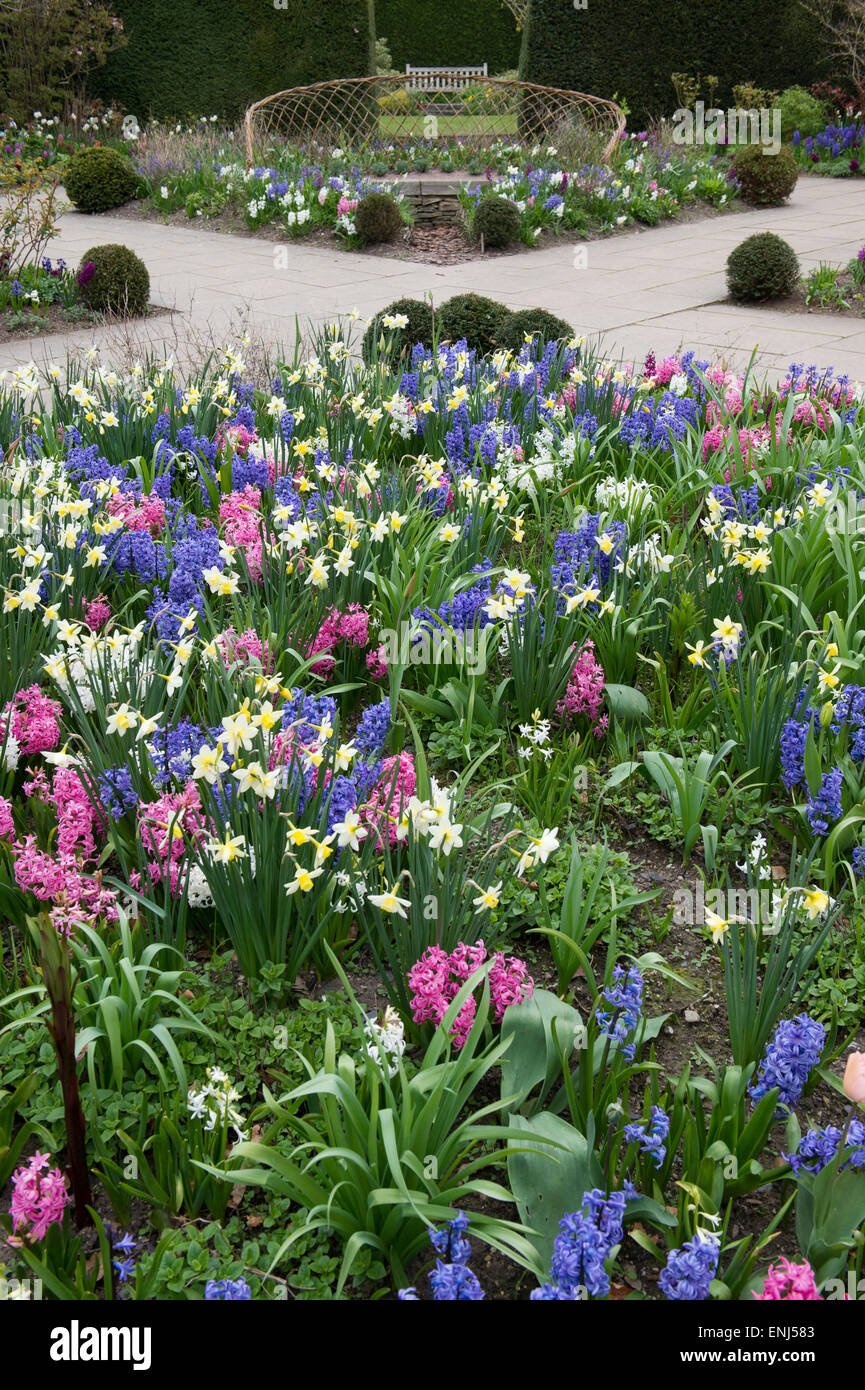 Scent garden flowers at RHS Harlow Carr gardens, Harrogate, England Stock Photo
