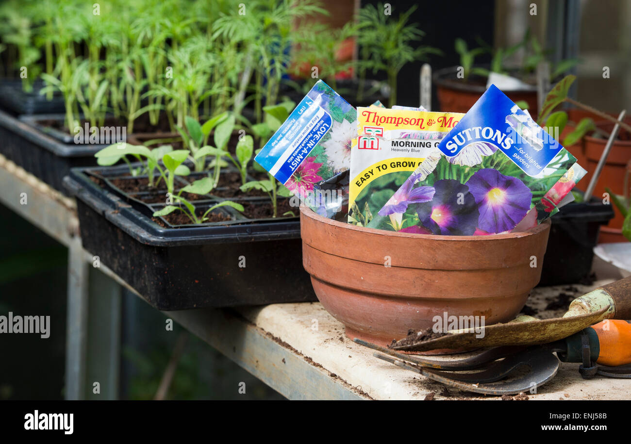 Flower greenhouses hires stock photography and images Alamy