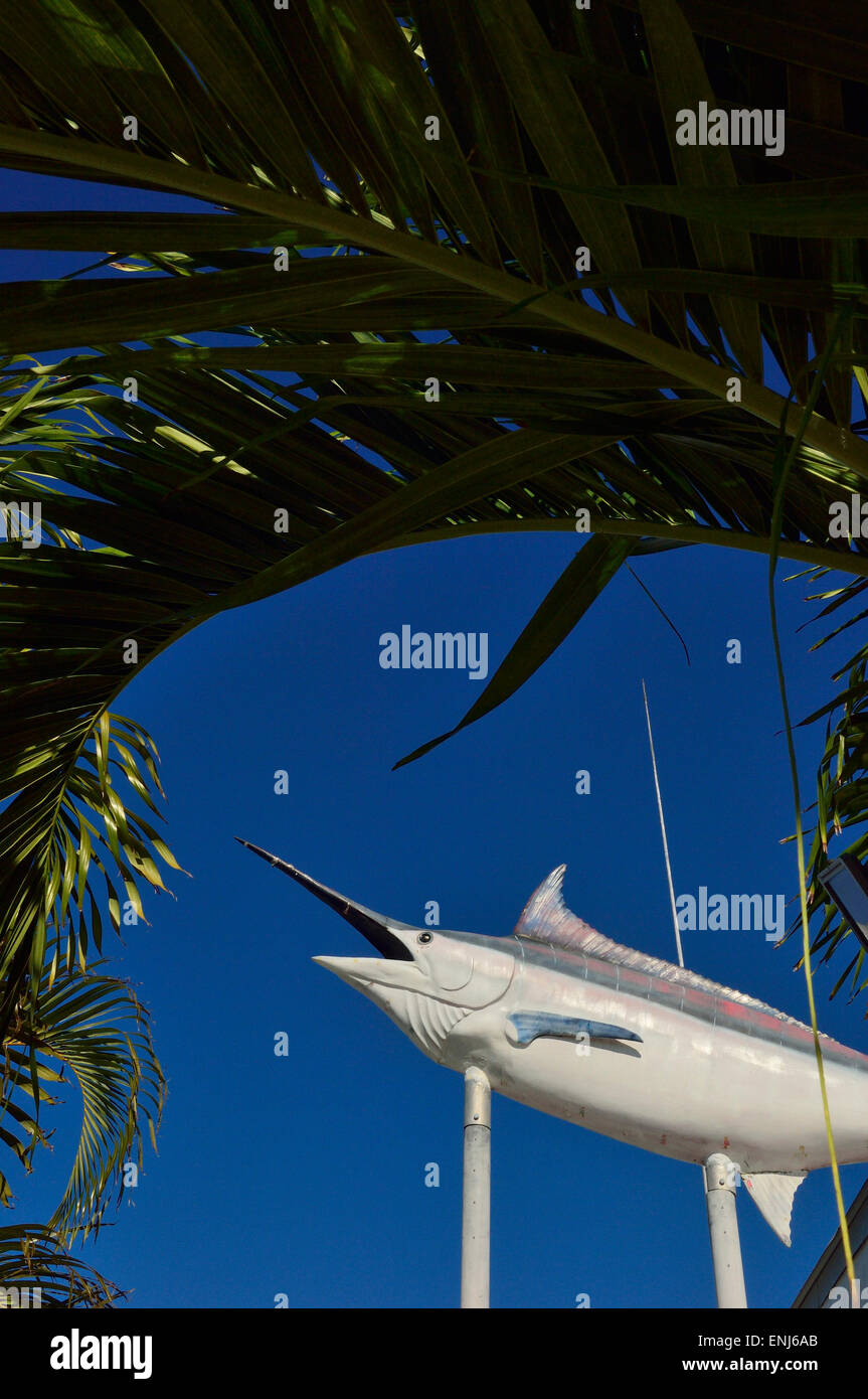 Marlin fish hi-res stock photography and images - Alamy