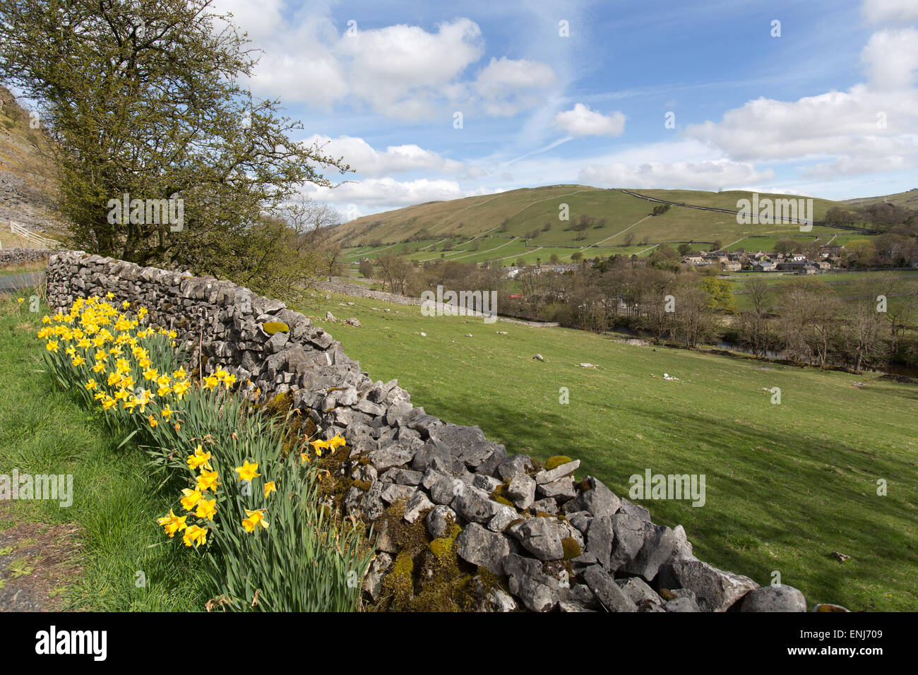 Village of Kettlewell, Yorkshire, England. Daffodils in full bloom with the village of Kettlewell in the background. Stock Photo