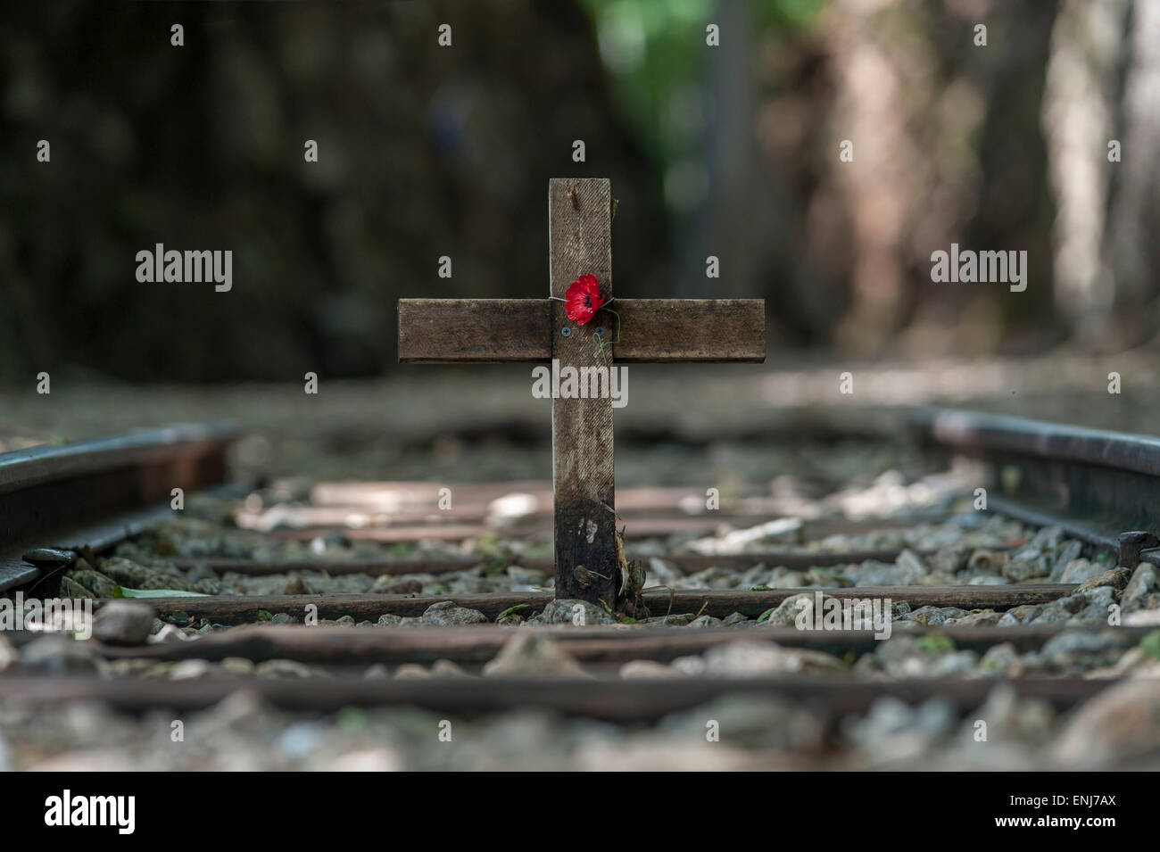 Remembrance cross and poppy at Hellfire Pass along the Burma Railway (Death Railway) Tenasserim Hills. Thailand Stock Photo