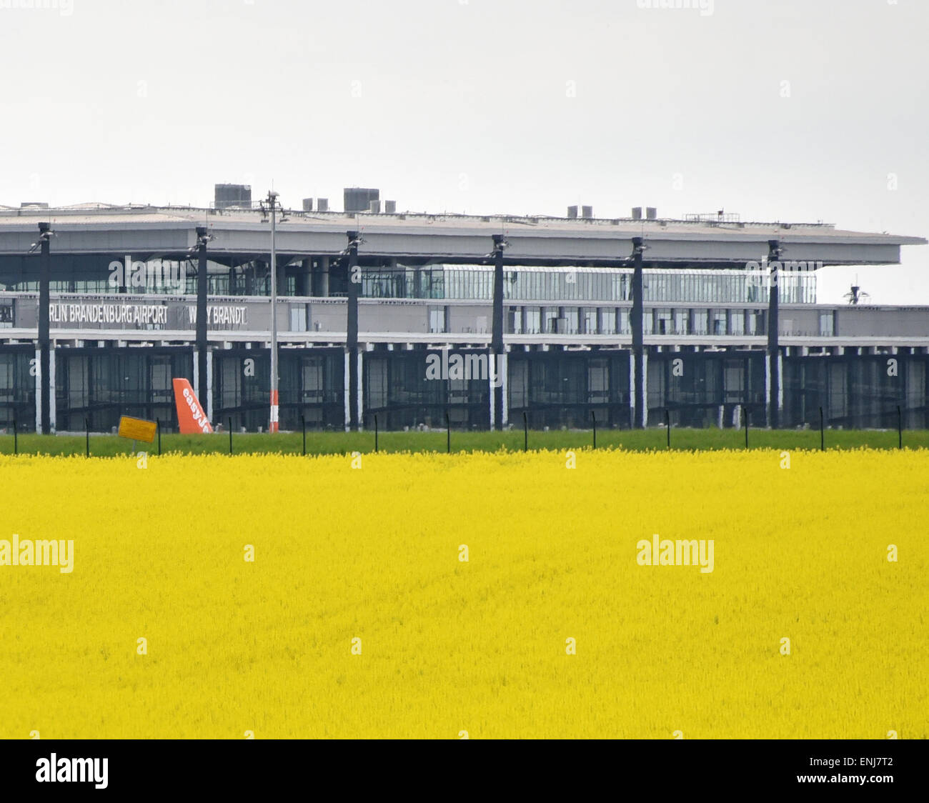 Schoenefeld, Germany. 06th May, 2015. Rapeseed fields grow in front of the future Berlin airport in Schoenefeld, Germany, 06 May 2015. The airport began with the restoration of the take-off and landing strips of Schoenefeld Airport - the future North runway of the new BER Airport. Photo: BERND SETTNIK/dpa/Alamy Live News Stock Photo