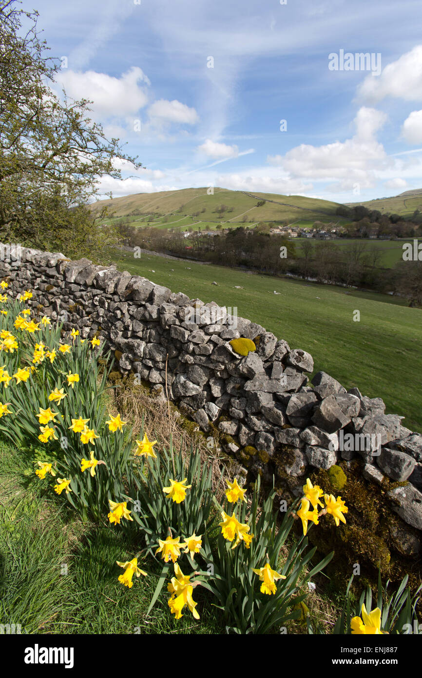 Village of Kettlewell, Yorkshire, England. Daffodils in full bloom with the village of Kettlewell in the background. Stock Photo