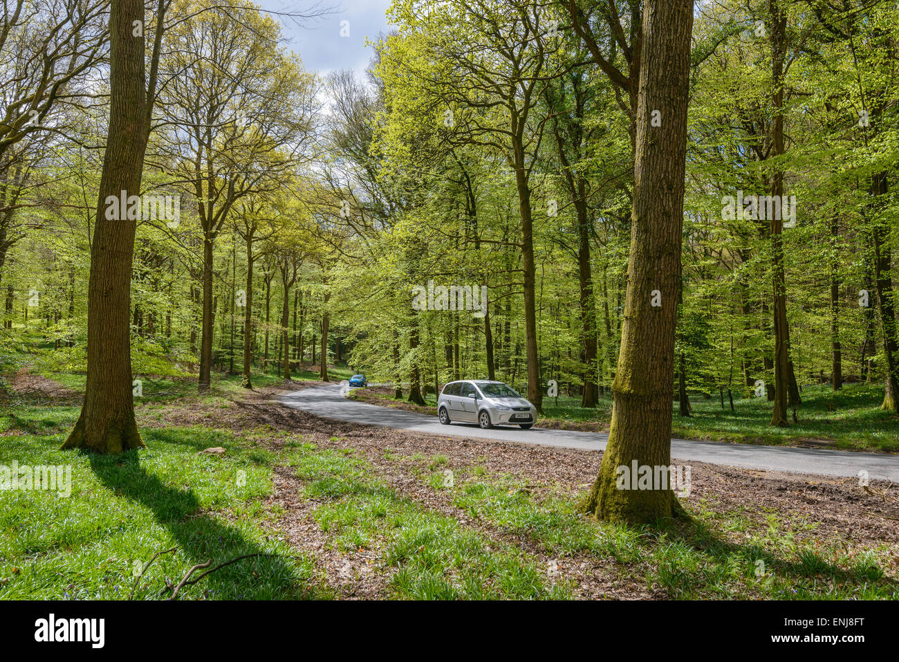 Carforest hires stock photography and images Alamy