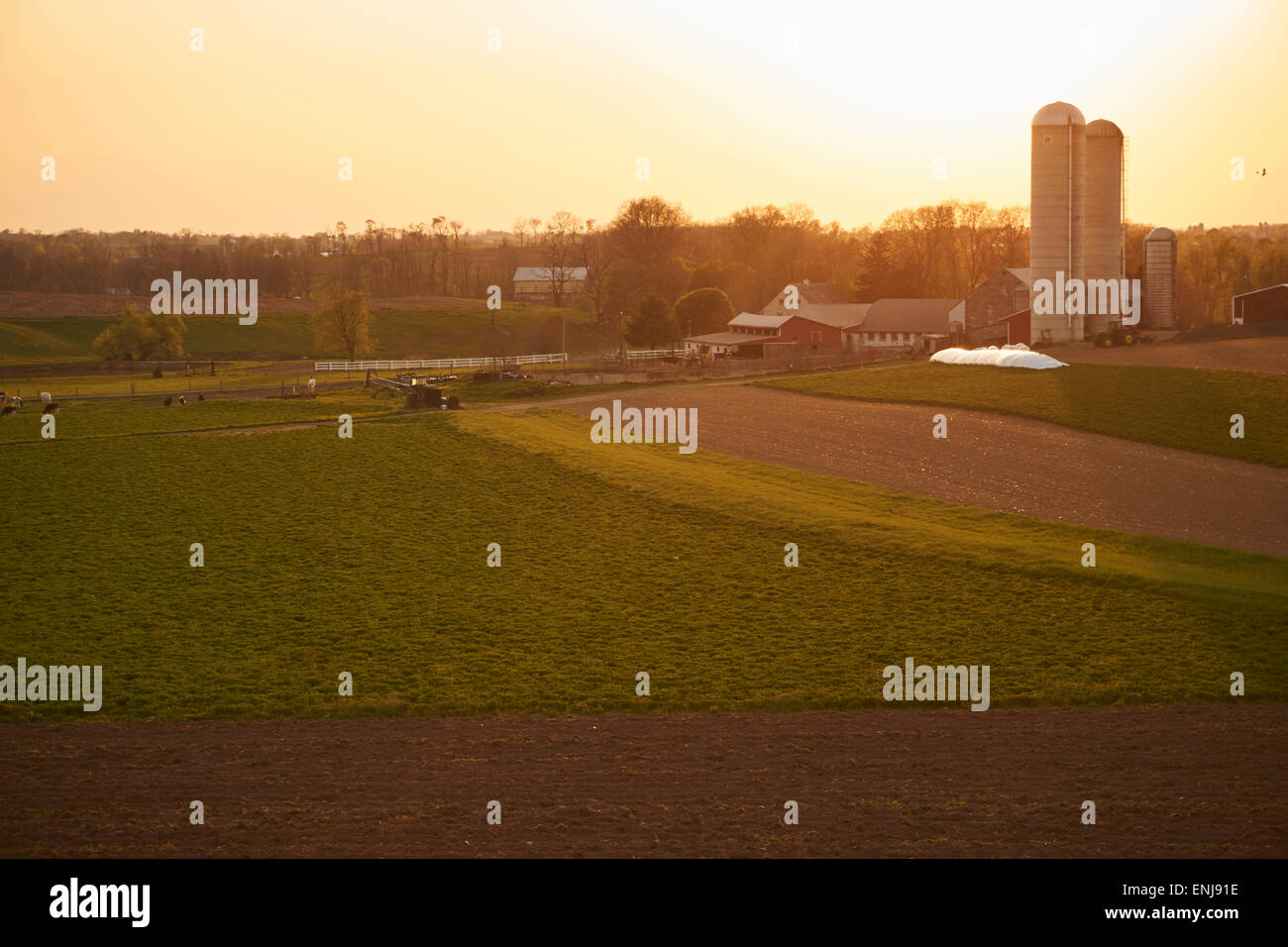 Amish farm at sunset, Schaefferstown, Lebanon County, Pennsylvania, USA