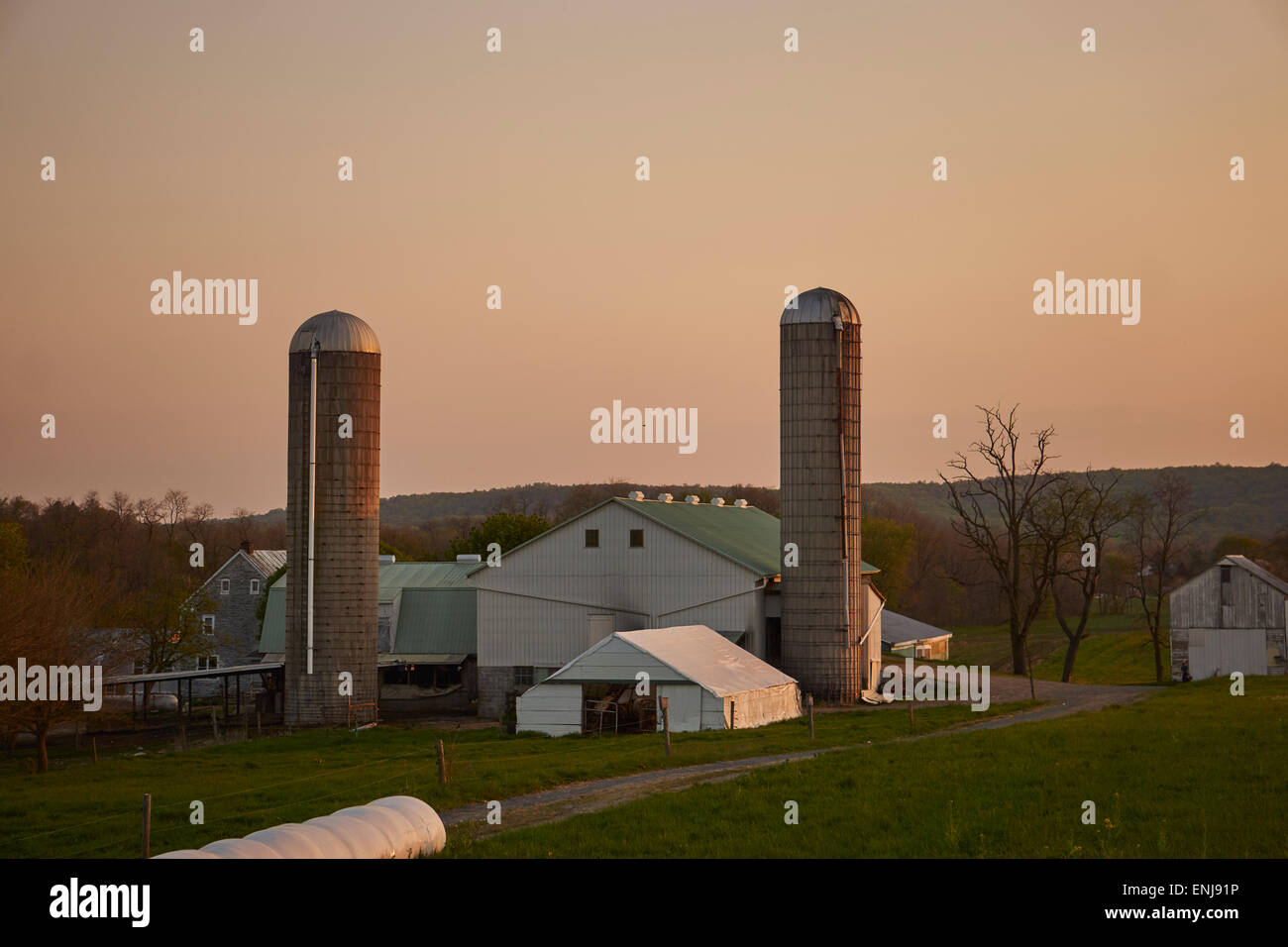 Amish farm at sunset, Schaefferstown, Lebanon County, Pennsylvania, USA Stock Photo Alamy