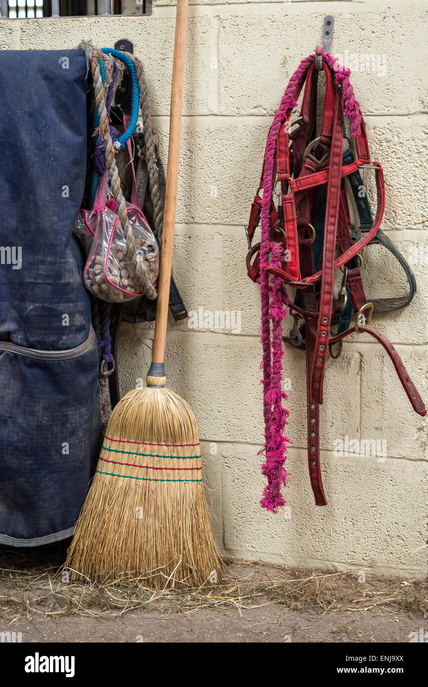 Head Collars and lead ropes hanging up in a stable building next to a sweeping up brush and horse rugs. Stock Photo