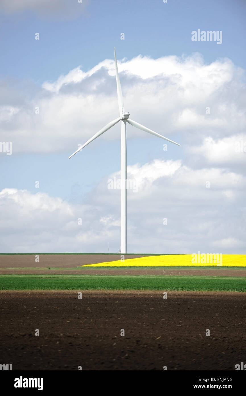 Isolated wind turbine near a field of rapeseed flowers in springtime Stock Photo