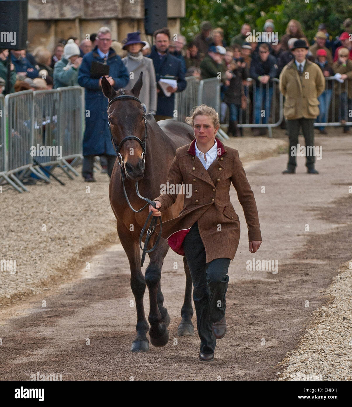 Badminton, Gloucestershire, UK. 6th May, 2015. Izzy Taylor showing Thistledown Poposki at the First Horse Inspection at the 2015 Mitsubishi Badminton Horse Trials. Credit:  charlie bryan/Alamy Live News Stock Photo