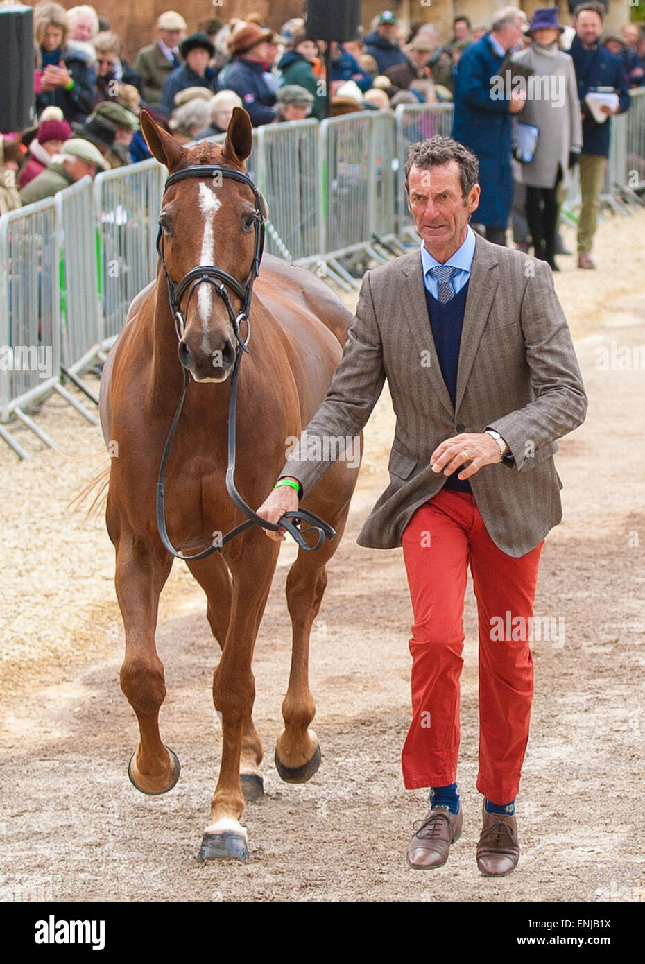 Badminton, Gloucestershire, UK. 6th May, 2015. Mark Todd showing Oloa at the First Horse Inspection at the 2015 Mitsubishi Badminton Horse Trials. Credit:  charlie bryan/Alamy Live News Stock Photo