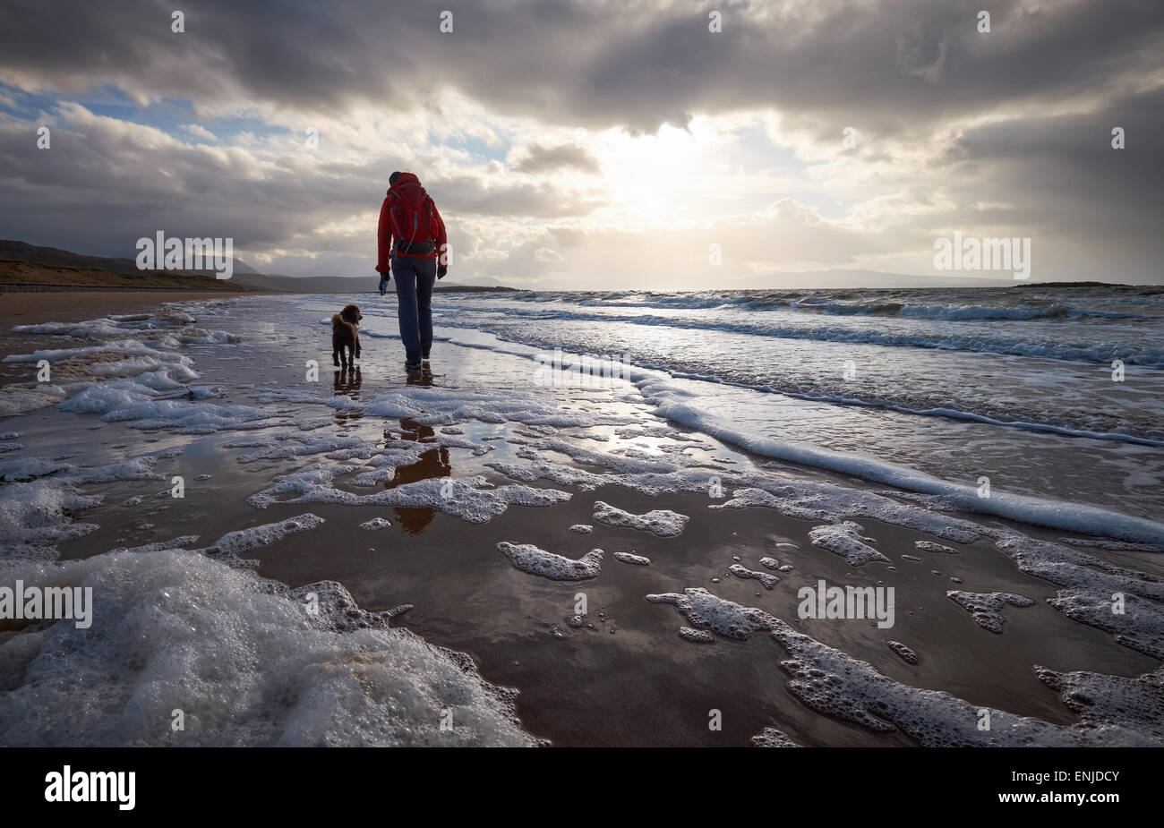 A woman walking her dog on the beach at sunset Stock Photo - Alamy