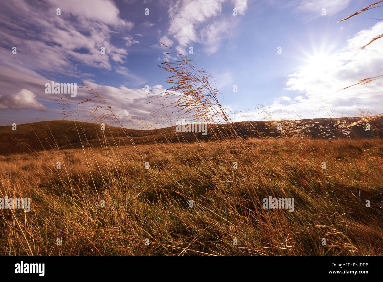 Wild remote English countryside in the summer with rolling hills