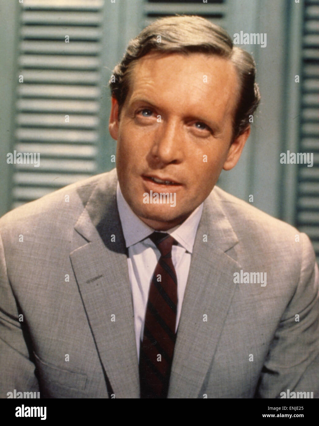 Secret Agent Man Tv Show