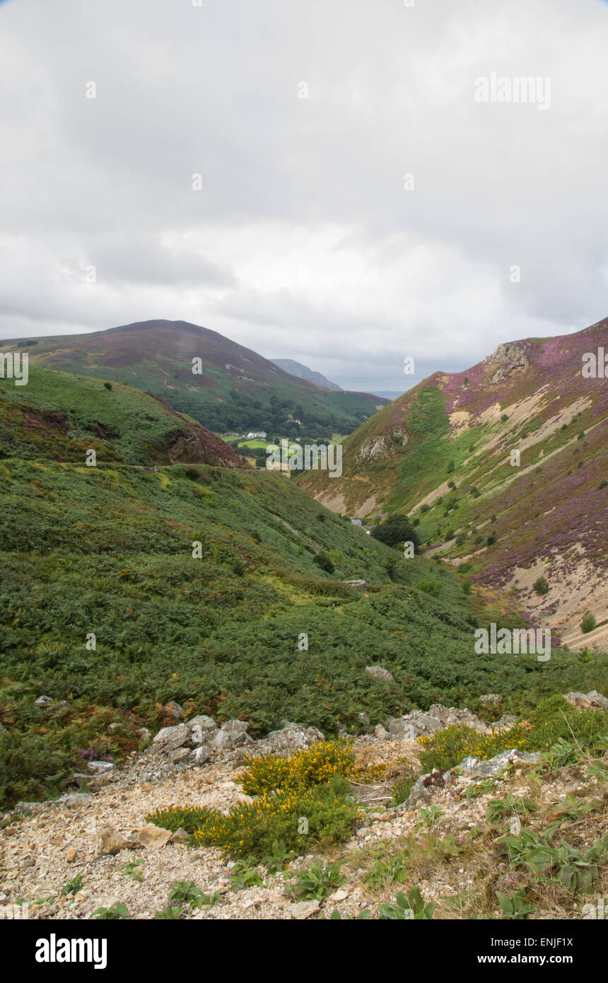 Looking down the Sychnant Pass, old road linking Penmaenmawr and Conwy