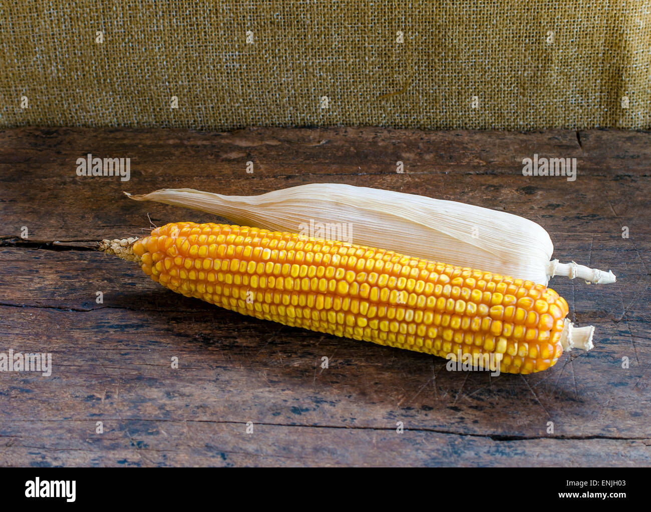 Bunch of corn cobs on a wooden background . Stock Photo