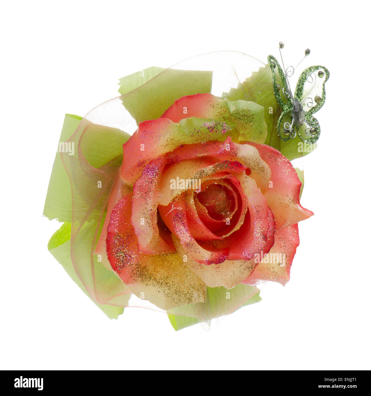 Beautiful orange rose flower isolated on white background Stock Photo