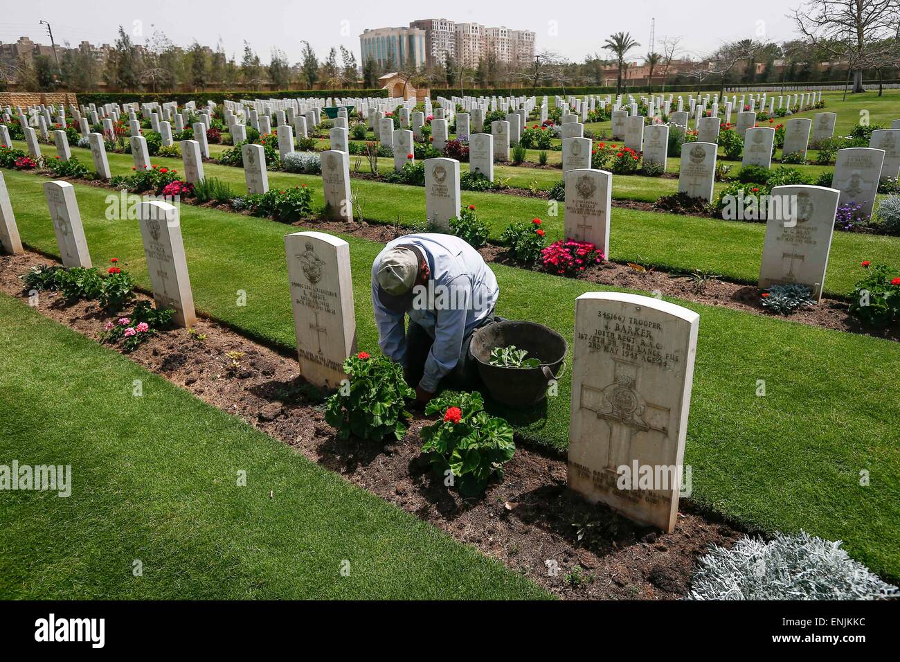Cairo. 27th Apr, 2015. A gardener trims the grass field at a World War II memorial cemetery in Cairo, Egypt, on April 27, 2015, ahead of the 70th anniversary of the victory of the world anti-Fascism war. © Cui Xinyu/Xinhua/Alamy Live News Stock Photo