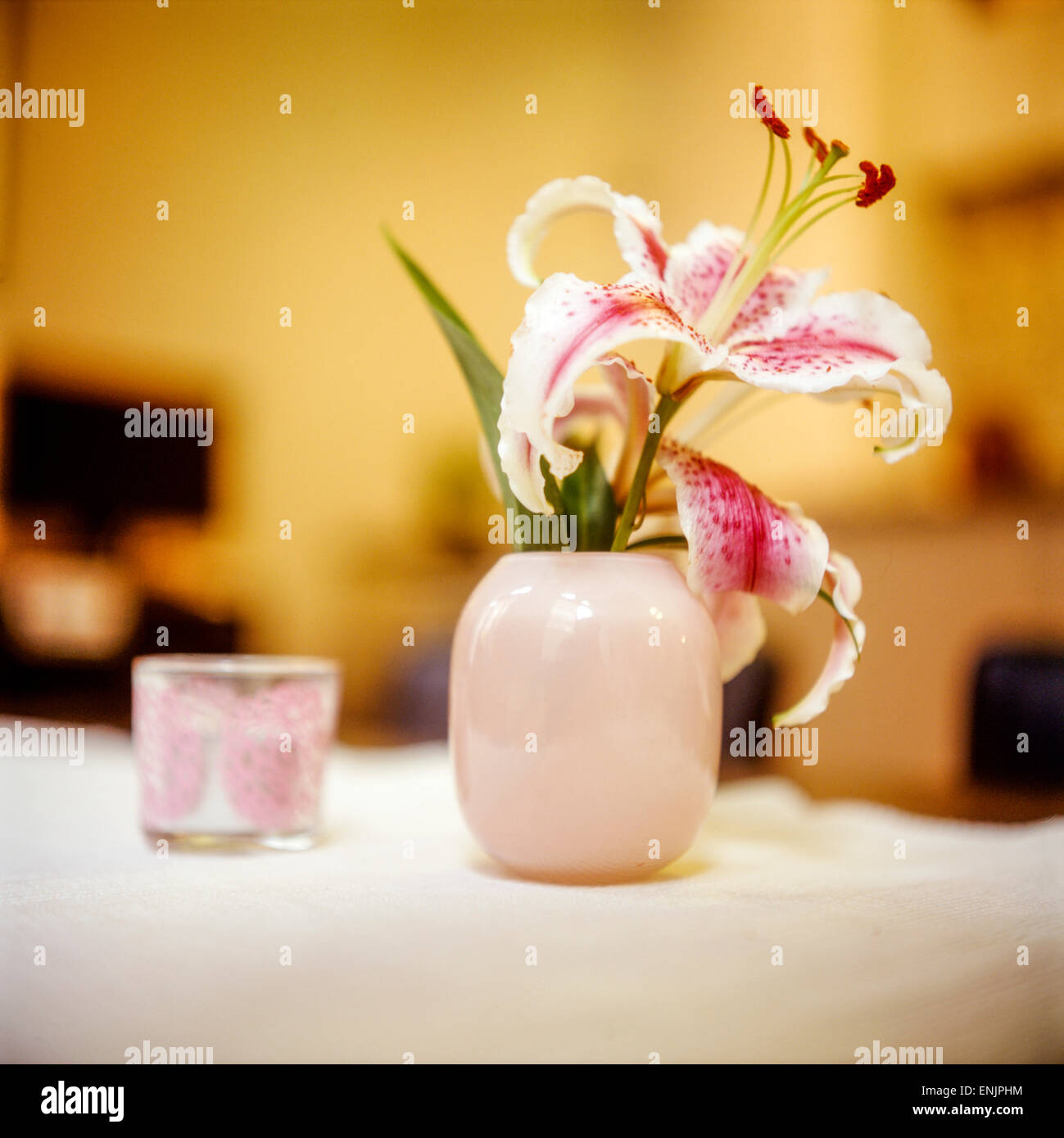 Orchid in vase hires stock photography and images Alamy