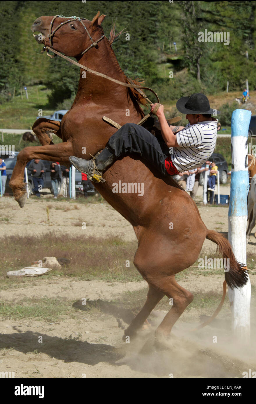Gaucho riding bucking horse in country rodeo Tierra del Fuego Argentina Stock Photo