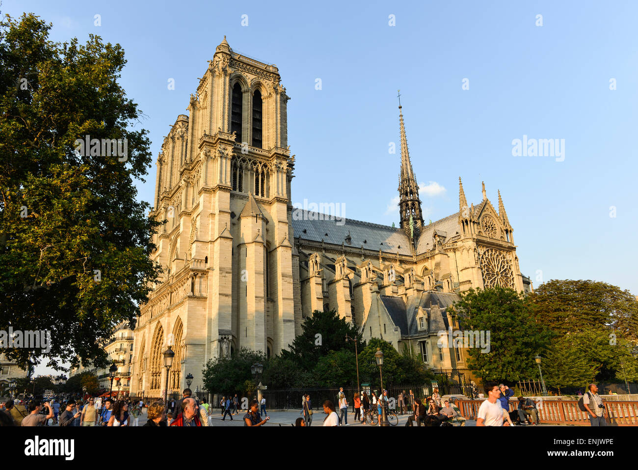 Notre Dame de Paris Cathedral, southern facade, Ile de La Cité, Paris, France Stock Photo