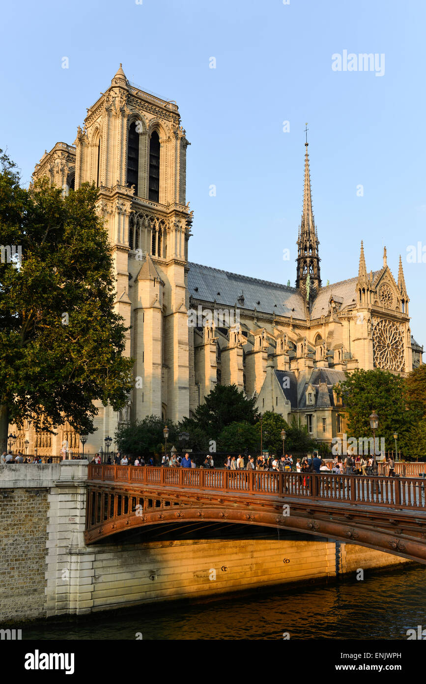 Notre Dame de Paris Cathedral, southern facade, Ile de La Cité, Paris, France Stock Photo