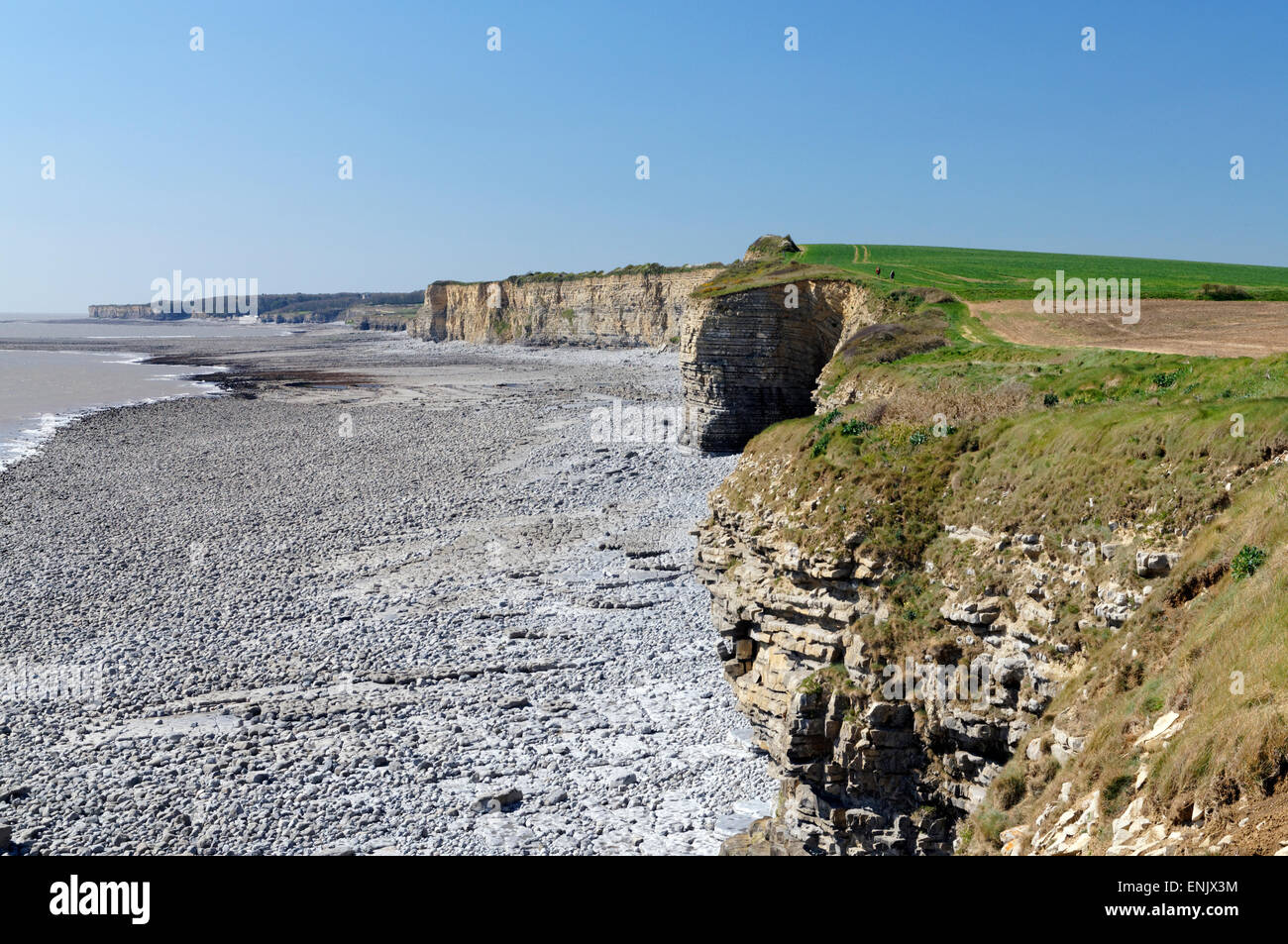 glamorgan-heritage-coast-between-summerhouse-point-and-llantwit-major