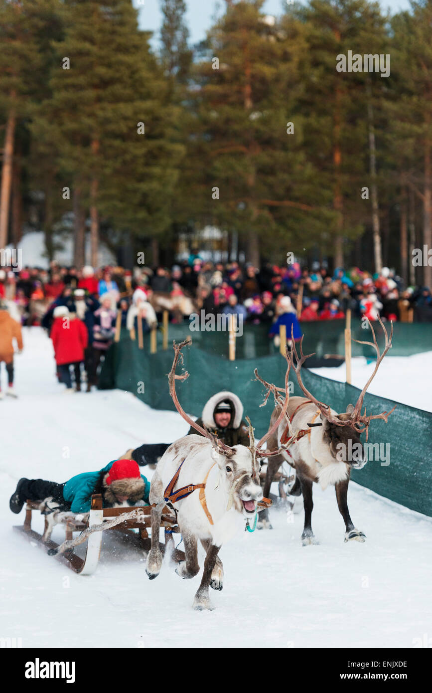 Sami people at winter festival, reindeer race, Jokkmokk, Lapland, Arctic Circle, Sweden, Scandinavia, Europe Stock Photo