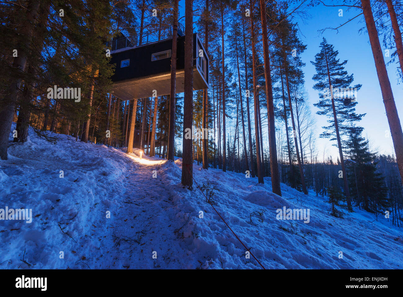 The Cabin room, The Tree Hotel, Lapland, Arctic Circle, Sweden