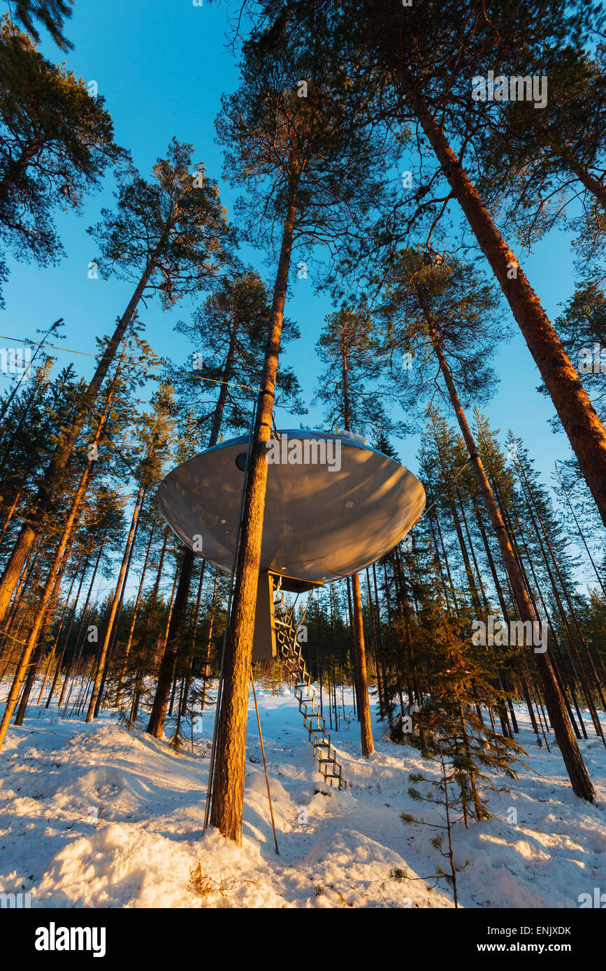 The UFO room, The Tree Hotel, Lapland, Arctic, Sweden, Scandinavia, Europe Stock Photo