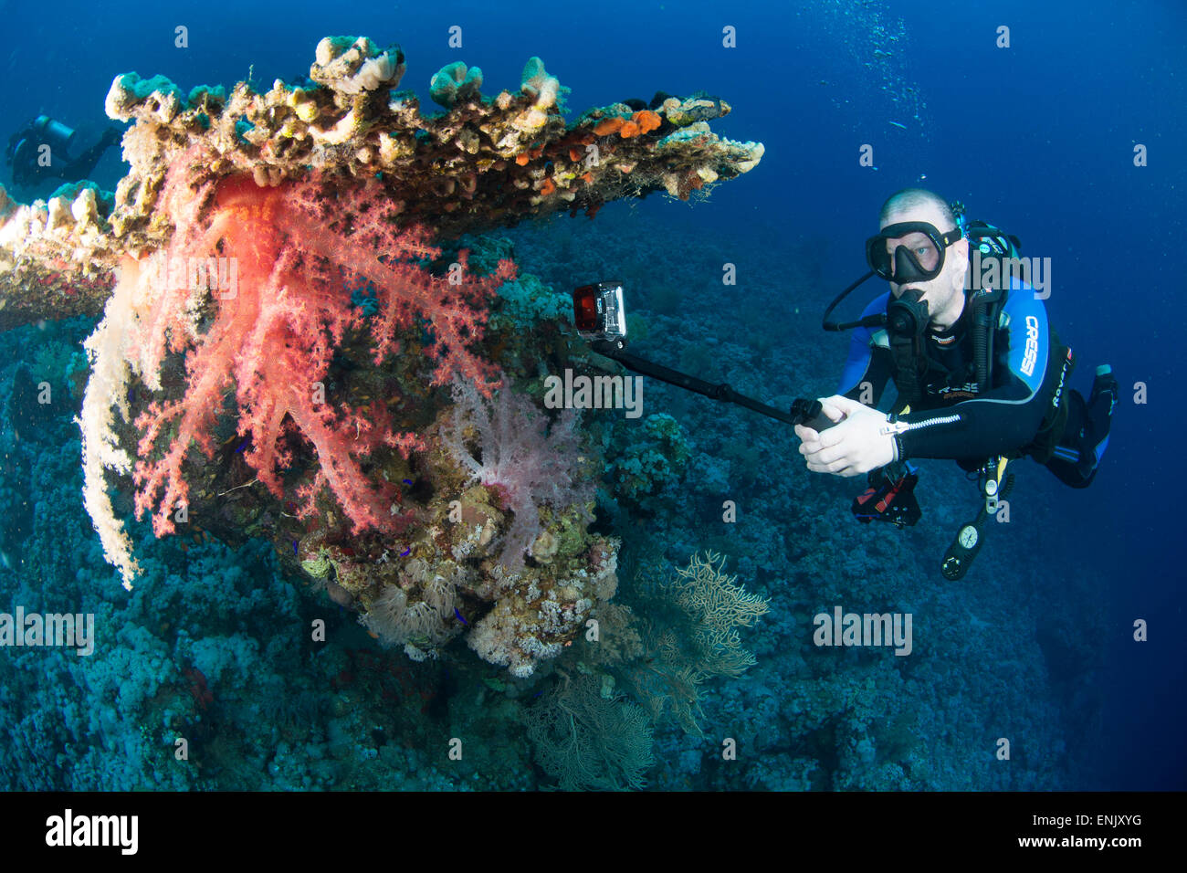 Camera being used by diver underwater in the Red Sea, Egypt, North