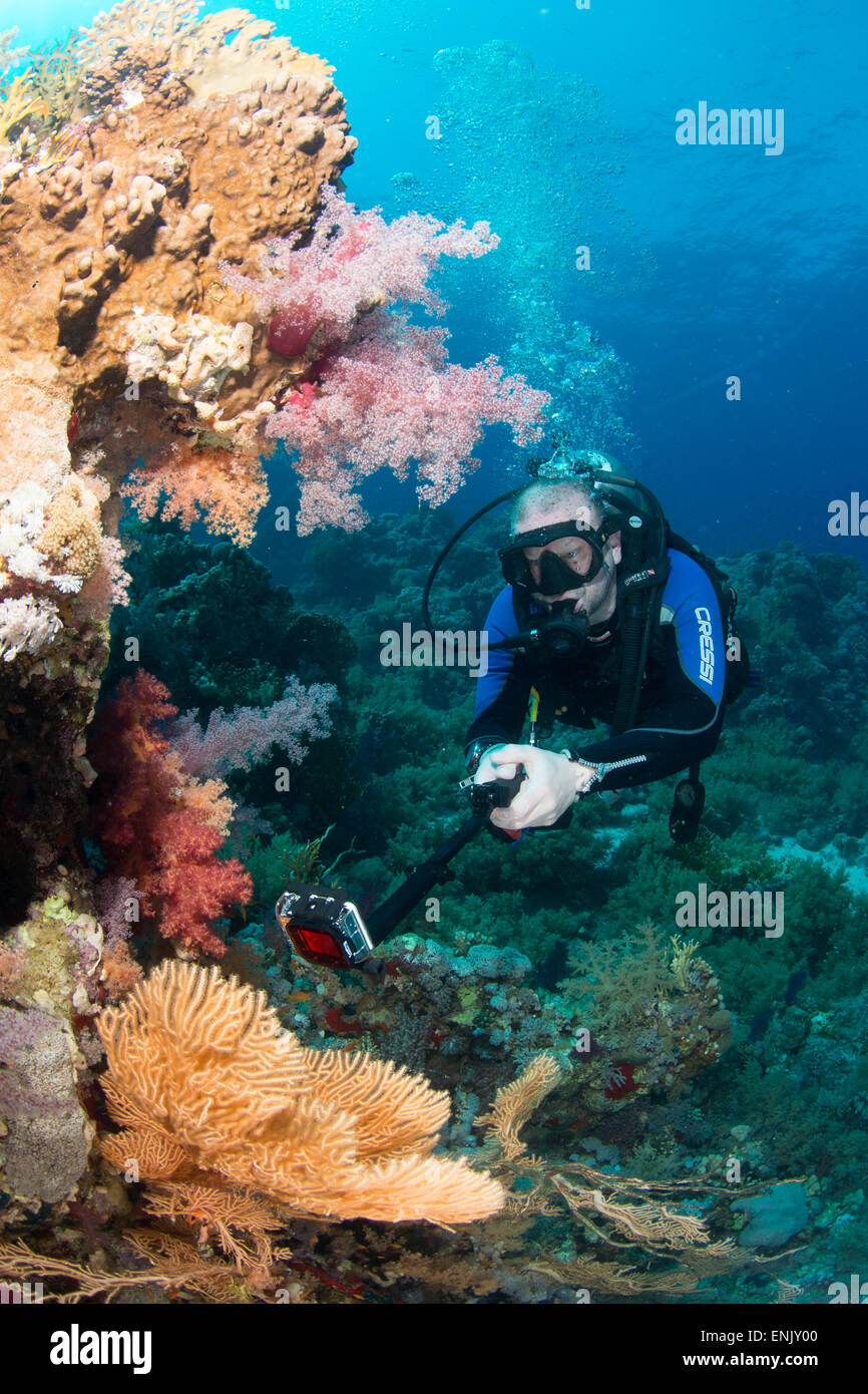 Camera being used by diver underwater in the Red Sea, Egypt, North