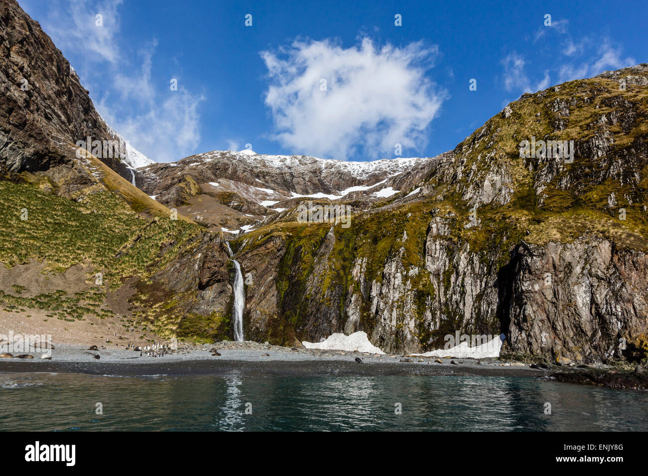 Snowmelt waterfall in Hercules Bay, South Georgia, Polar Regions Stock Photo