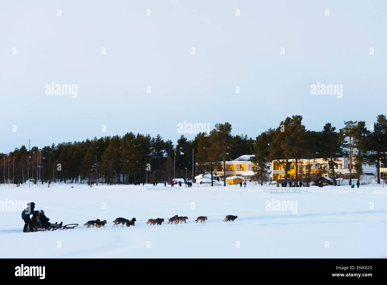 Dog sledding, Jokkmokk, Lapland, Arctic Circle, Sweden, Scandinavia, Europe Stock Photo