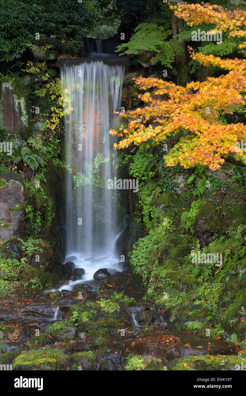 Midoritaki waterfall, Kenrokuen Garden, Kanazawa, Ishikawa Prefecture, Central Honshu, Japan, Asia Stock Photo