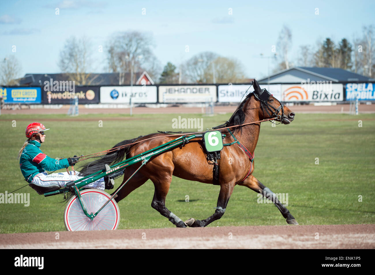 Harness racing swedish horse hires stock photography and images Alamy