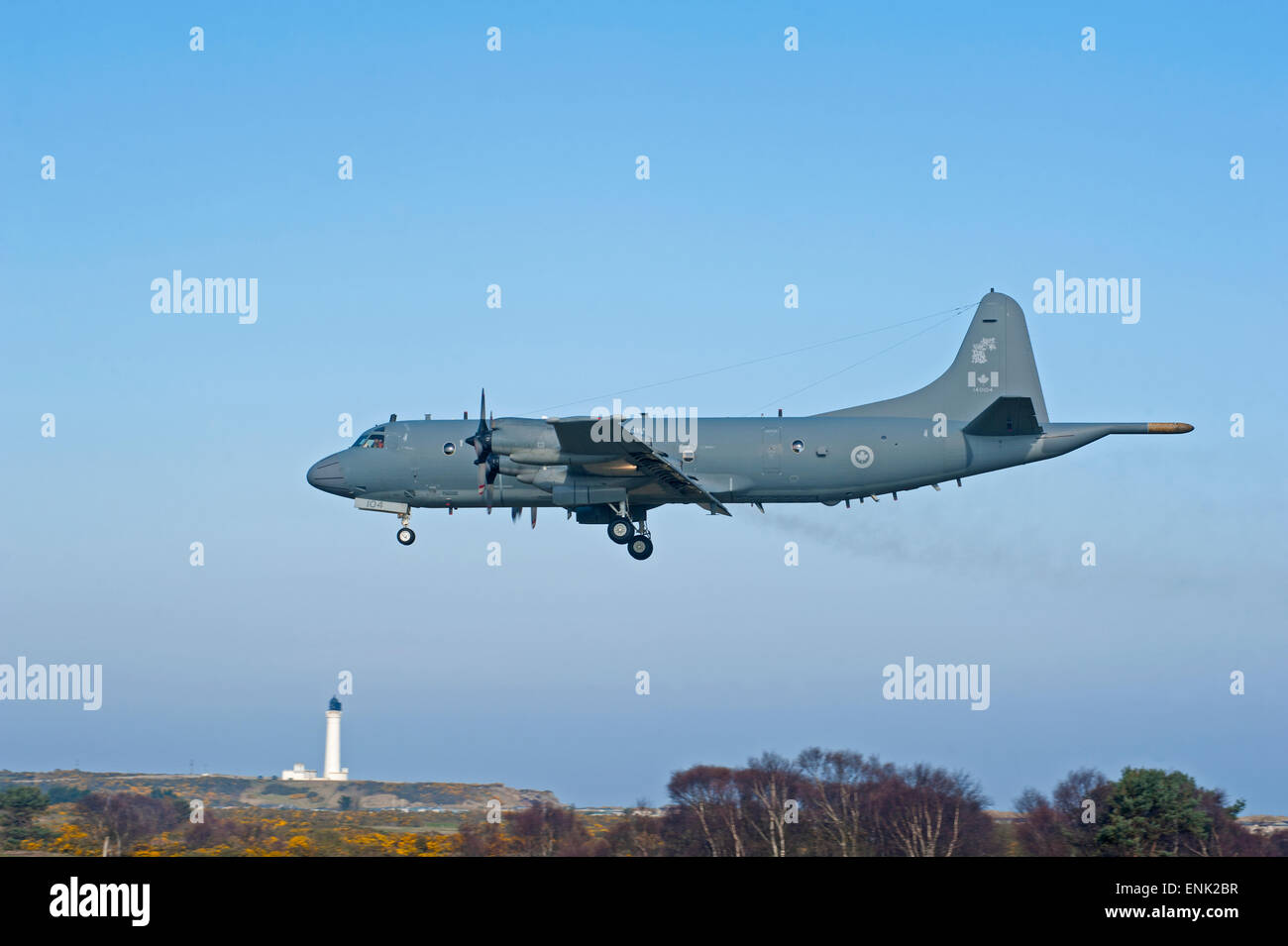 Canadian CP-140 Aurora Maritime Aircraft coming in to RAF Lossiemouth airfield in Morayshire Scotland.  SCO 9726. Stock Photo