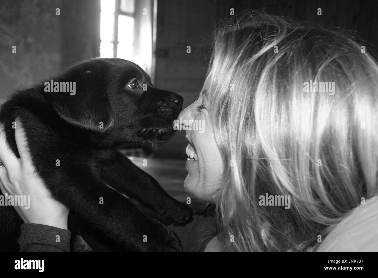 Woman holding puppy that licks her nose. Stock Photo
