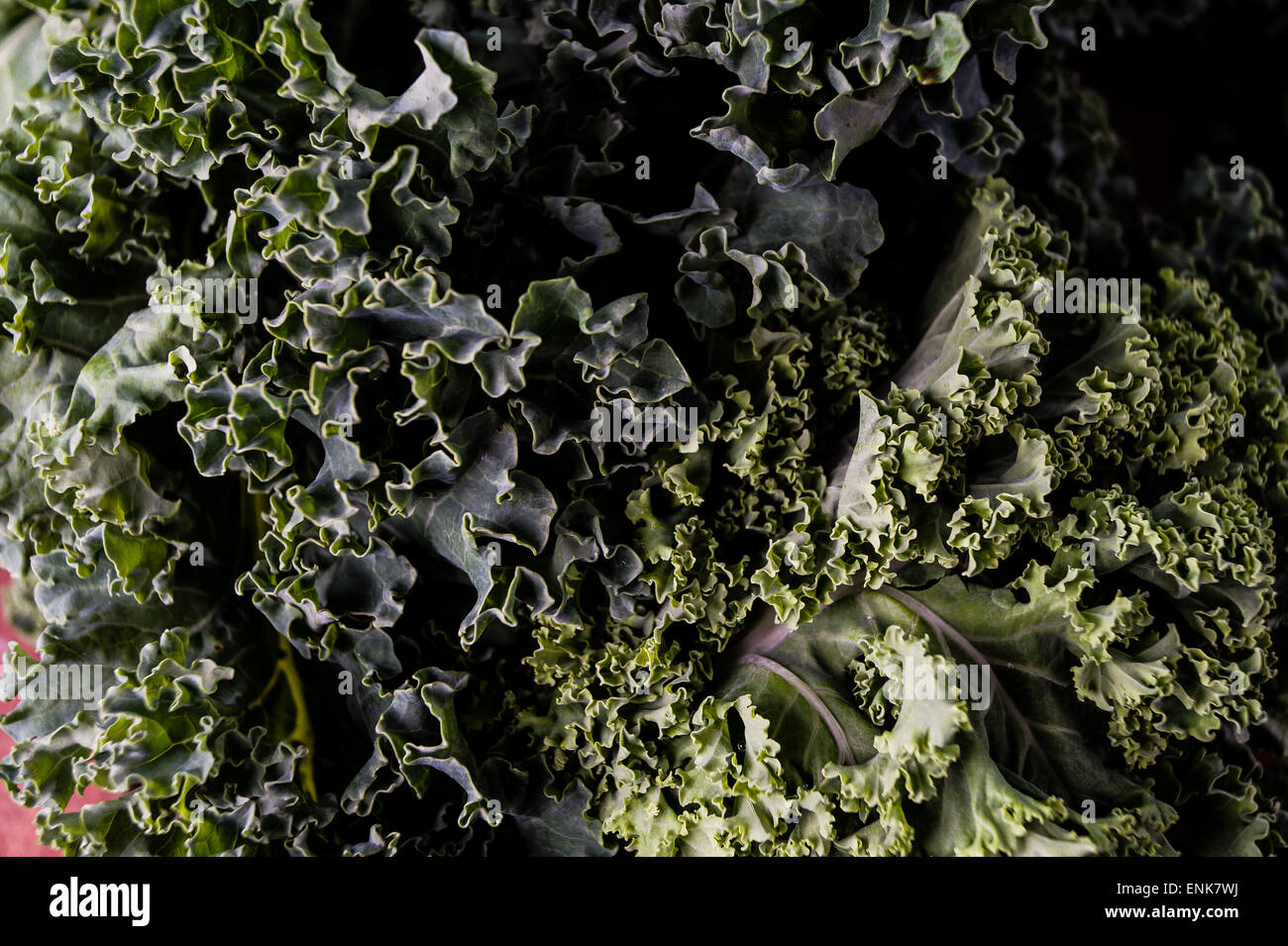 Organic raw kale, ready for healthy cooking Stock Photo