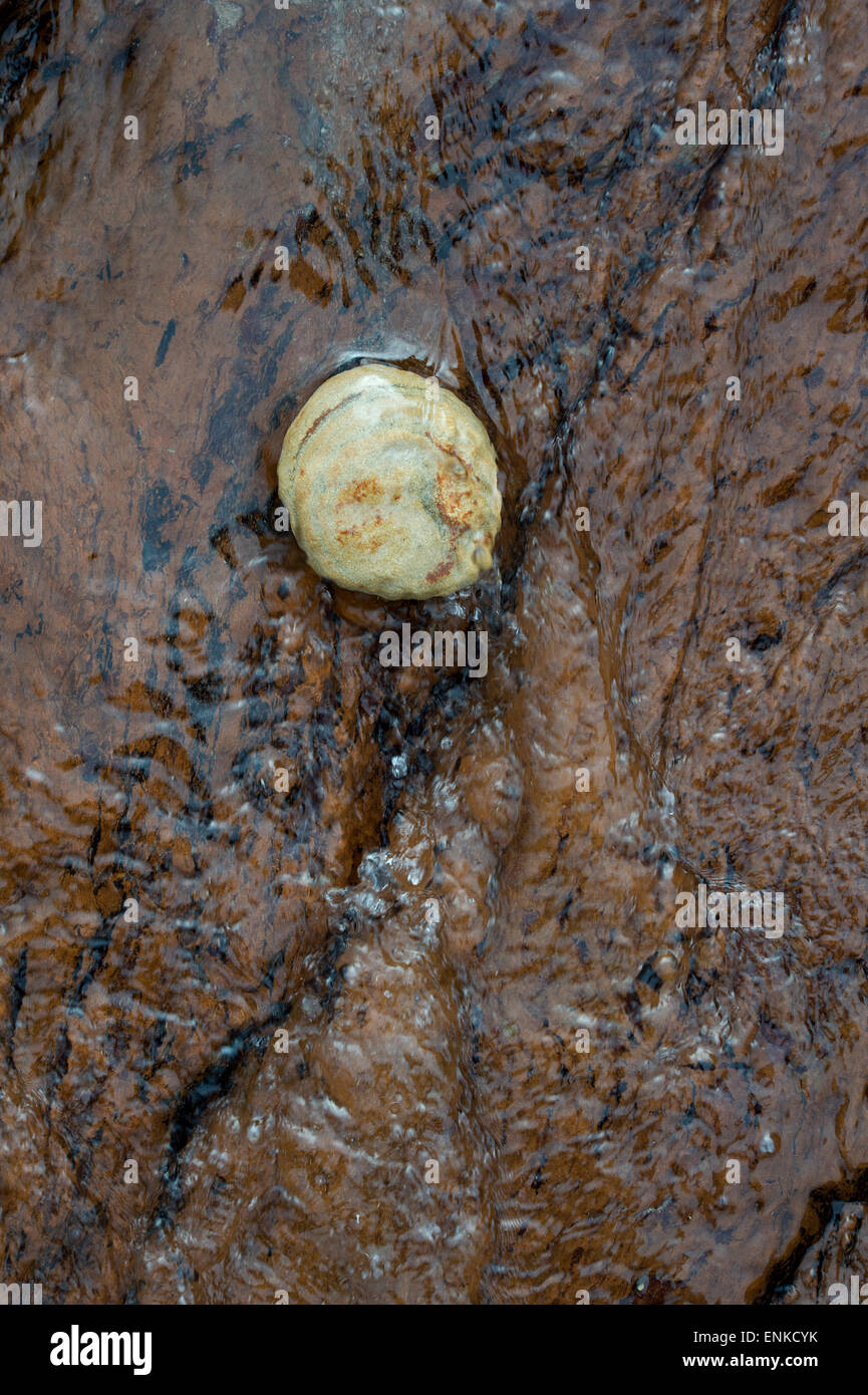 Sea water pattern hi-res stock photography and images - Alamy