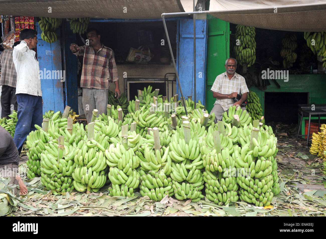 Mysore, India - 24 January 2015: Indian vendors tend to their banana ...